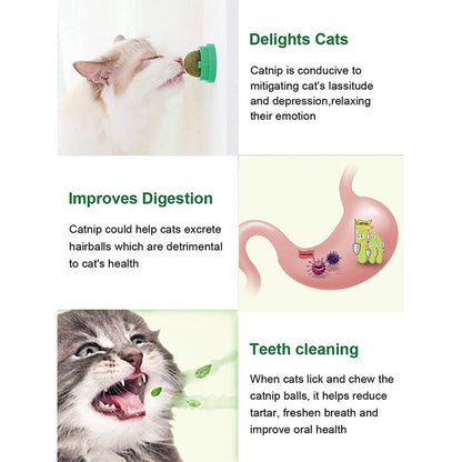 Catnip Balls Funny Lickable Cat Snack Catnip Balls Kitten Playing Chewing Cleaning Teeth Toy for Small Medium Cats Pet Supplies