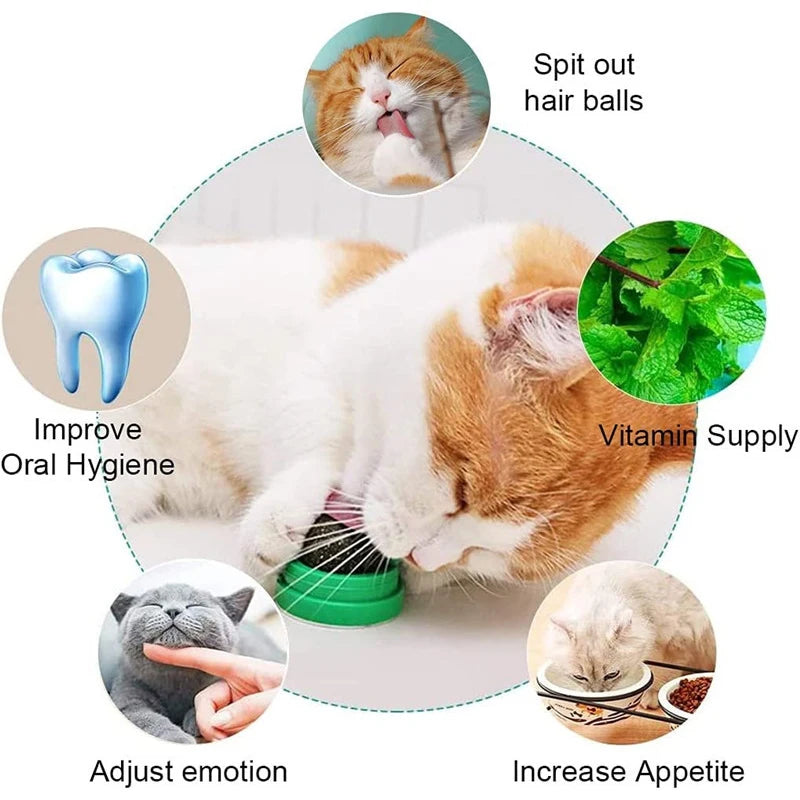 Catnip Balls Funny Lickable Cat Snack Catnip Balls Kitten Playing Chewing Cleaning Teeth Toy for Small Medium Cats Pet Supplies