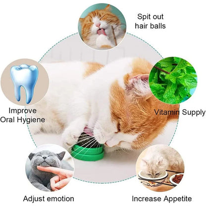 Catnip Balls Funny Lickable Cat Snack Catnip Balls Kitten Playing Chewing Cleaning Teeth Toy for Small Medium Cats Pet Supplies